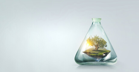 Tree growing inside clear glass bottle . Mixed media