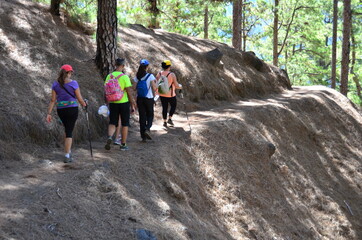 EXCURSIONISTAS POR UN SENDERO