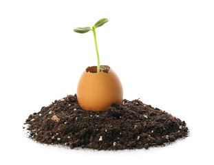 Green seedling in eggshell with heap of soil on white background