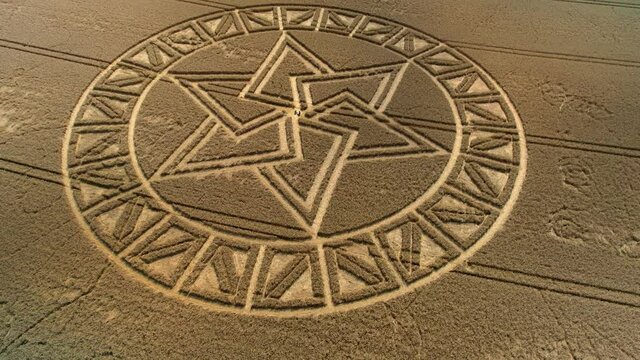 Barley field strange complex crop circle West Meon aerial tilt down over golden meadow