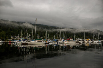 boats in the harbor