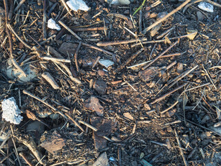 Closeup of river or sea waste washed out