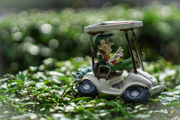 golf cart on a course