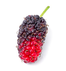 Top view organic Mulberry fruits on white background.