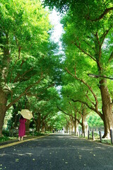銀杏並木を奥に向かって歩く黄色い日傘をさした赤いワンピースの女性　左側