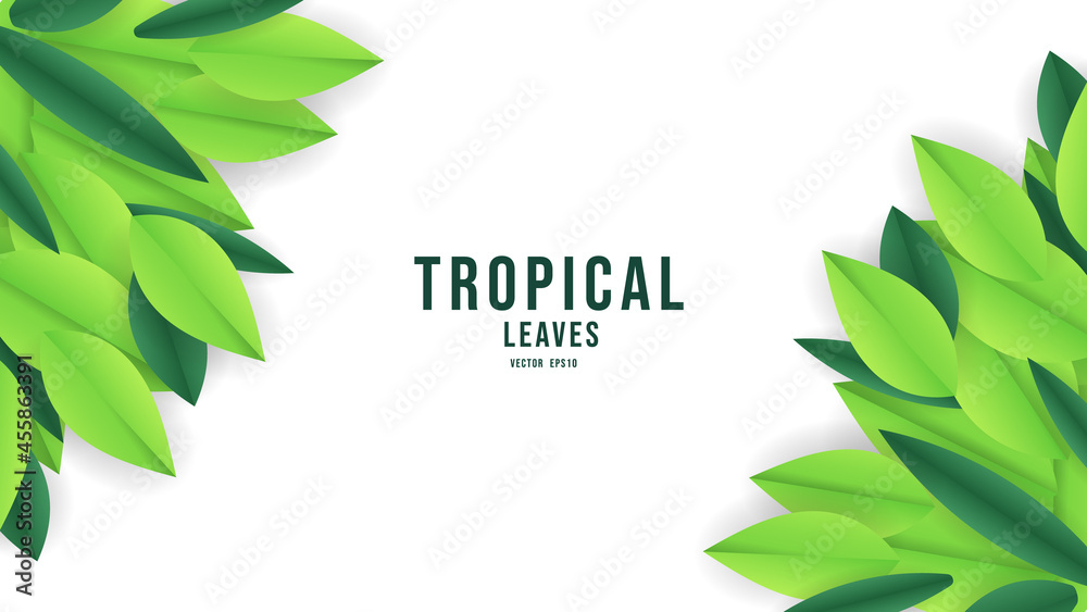 Wall mural Plants and green leaves isolated on white background with copy space , Flat Modern design , illustration Vector EPS 10