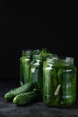 Homemade pickled cucumbers in the glass jar on black background. Low key photo, copy space
