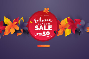 Autumn sale vector background. Autumn sale and discount text in red space with maple leaves in white textured background for fall season marketing promotion. Vector illustration