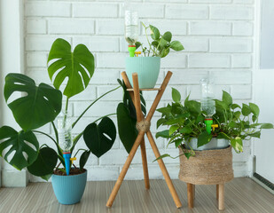 Smart Plastic bottle auto drip Water Irrigation System, keeps plants hydrated during vacation...