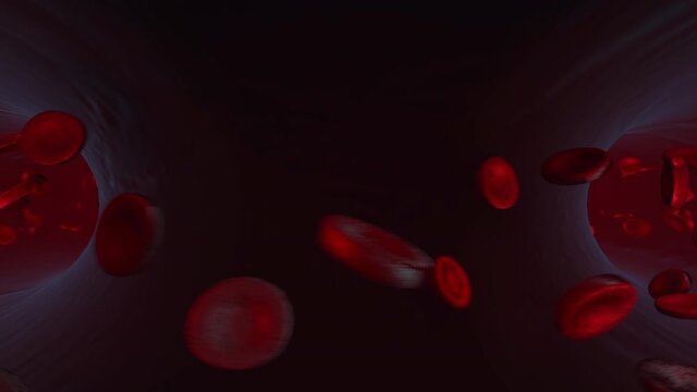 Red red blood cells flowing inside a human vein, vessel. The lymph system. Health problems, tests. High-quality 3D Animation related to science.