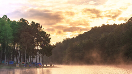 Camping and tent under the pine forest in sunset at Pang-ung, pine forest park , Mae Hong Son, North of Thailand © tonjung