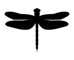 Dragonfly insect flat vector icon for apps and websites © martialred
