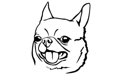 Dog With Line Art Style