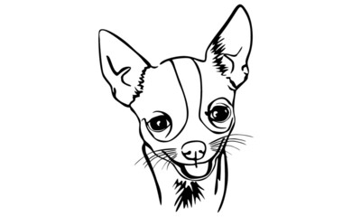 Dog With Line Art Style