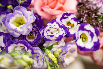 top view. bouquet of colorful bright fresh flowers. traditional gift for a woman