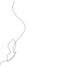 Butterfly line drawing vector illustration