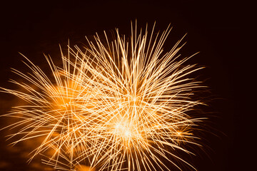 bright holiday fireworks in dark sky