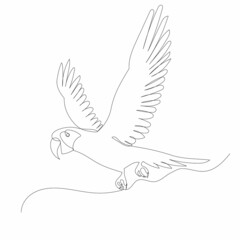 parrot drawing by one continuous line, sketch
