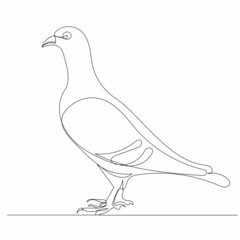 dove drawing by one continuous line, sketch