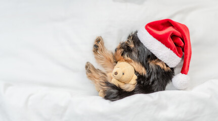Funny Yorkshire terrier puppy wearing red santa hat sleeps and hugs toy bear under white blanket at...