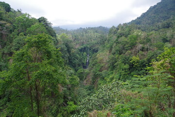 Fototapeta na wymiar インドネシア　バリ島のセクンプル滝