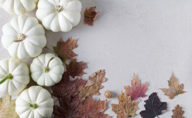 White pumpkins with dry leaves on a beige background