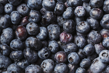 Ripe sweet blueberry, fresh blueberries background