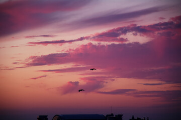 sunset over the City