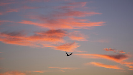sunset in the sky