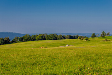 Schöner Spätsommer Spaziergang durch den Thüringer Wald - Steinbach-Hallenberg - Deutschland