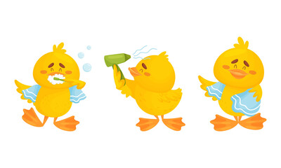 Little Yellow Chick Brushing Teeth and Drying with Towel Vector Set