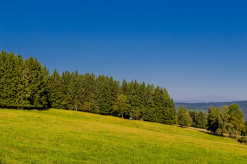 Schöner Spätsommer Spaziergang durch den Thüringer Wald - Steinbach-Hallenberg - Deutschland