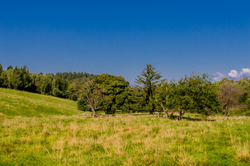 Obraz premium Schöner Spätsommer Spaziergang durch den Thüringer Wald - Steinbach-Hallenberg - Deutschland