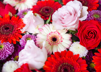 Full frame shot of red, pink and white flowers.