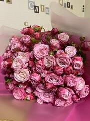 bunch of pink spray roses. A big bouquet of pink spray roses in Women's day. Fresh spray roses flowers.