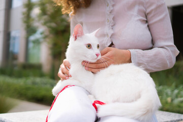 An unrecognizable teenage girl with curly hair holds a white cat on her lap. She is enjoying time with her pet.