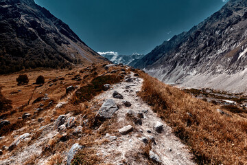 Country road in the mountains. Himalayas. Gangotri, Gaumukh, India.