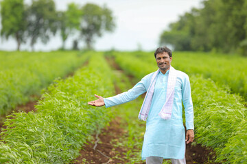 Young indian farmer standing in green pigeon pea agriculture field.