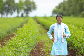 Young indian farmer standing in green pigeon pea agriculture field.
