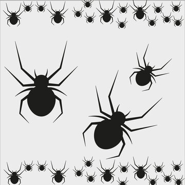 Halloween background with spider frame. Vector
