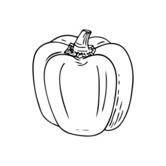Bell pepper doodle icon.Hand-drawn sketch drawing.Vegetarian food,vegetable with vitamins for healthy lifestyle,balanced nutrition,correct diet.Isolated.Vector illustration.