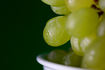 close-up bunch of grapes on green background