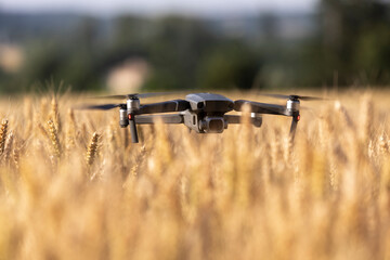 Professional drone flying in a wheat field for a video shoot in agriculture.
