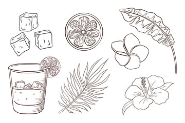 Whiskey and Soda Cocktail, Tropical Flowers and Leaves Coloring Page. Exotic Plants and blossoms set. Banana, and palm leaves, lemon slice, ice cubes, hibiscus and plumeria flowers. Premium Vector