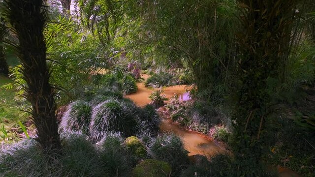 A stunning view of mysterious plants in Parque Terra Nostra Botanical Garden, Azores, Portugal