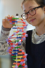 Girl student examining DNA model in classroom