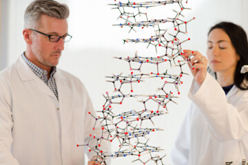 Serious scientists examining hanging molecular structure