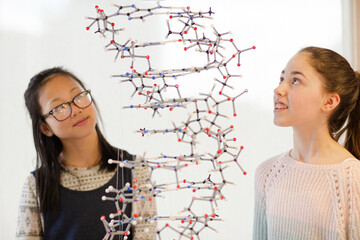 Girl students examining hanging molecular structure