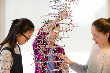 Curious girl students examining molecular structure in classroom