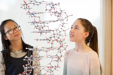 Girl students examining hanging molecular structure